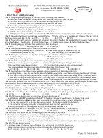 Đề thi giữa học kì 2 môn Sinh học 12 năm 2018-2019 có đáp án - Trường THPT Gia Định (Khối nâng cao)