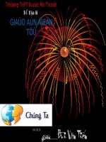 slide bài giảng địa lí 12 tiết 28 vấn đề tổ chức lãnh thổ nông nghiệp 