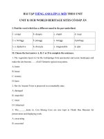 Tải Bài tập tiếng Anh lớp 11 Unit 8 Our World Heritage Sites - Tiếng Anh 11 Unit 8 Our World Heritage sites| Bài tập Unit 8 lớp 11 có đáp án