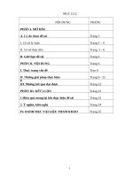 SÁNG KIẾN KINH NGHIỆM “RÈN KĨ NĂNG VIẾT ĐÚNG CHÍNH TẢ CHO HỌC SINH LỚP 2”