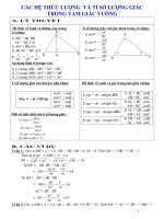 Chủ đề 5  hệ thức lượng trong tam giác vuông tỉ số LG của góc nhọn LH