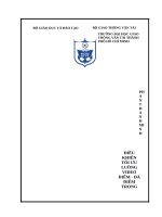 Điều khiển tối ưu luồng video điểm   đa điểm trong mạng 5g siêu dày đặc 