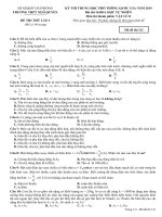 Đề thi thử THPT Quốc Gia 2019 môn Vật lí trường THPT Ngô Quyền, TP Hải Phòng lần 1 mã đề 121.pdf - Học Toàn Tập