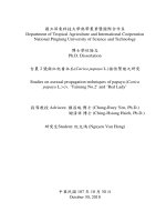 Nghiên cứu kỹ thuật nhân giống vô tính cây đu đủ carica papaya l  cv ‘tainung no 2’ and ‘red lady’