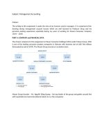 Management Accounting Masan Group  MBA