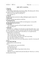 Kế hoạch dạy học chính tả theo hướng phát triển phẩm chất, năng lực học sinh theo CTGDPT 2018