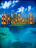 BỆNH của PHẦN mềm (GIẢI PHẪU BỆNH) (chữ biến dạng do slide dùng font VNI times, tải về xem bình thường) 