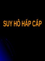 SUY hô hấp cấp (nội BỆNH lý) 