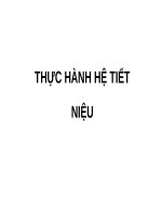 THỰC HÀNH hệ TIẾT NIỆU (THỰC HÀNH GIẢI PHẪU) (có đáp án FULL)