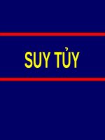 SUY tủy (nội BỆNH lý) (chữ biến dạng do slide dùng font VNI times, tải về xem bình thường) 