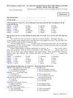 Đề thi tốt nghiệp THPT Quốc Gia môn Tiếng Anh hệ 3 năm 2006-2007 lần 1 mã đề 513 - Học Toàn Tập