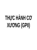 THỰC HÀNH cơ XƯƠNG (THỰC HÀNH GIẢI PHẪU) (THỰC HÀNH GIẢI PHẪU) (có đáp án FULL)