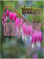 slide bài giảng hóa học 12 tiết 26 vị trí và cấu tạo của kim loại 