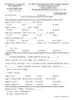 Đề thi vào 10 Tiếng Nhật Thừa Thiên Huế 2016-2017 mã đề 207 - Học Toàn Tập