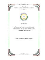 chăm sóc người bệnh sau phẫu thuật mở thận lấy sỏi tại khoa ngoại thận tiết niệu bệnh viện đa khoa tỉnh phú thọ năm 2019 