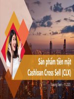 Bài giảng Sản phẩm tiền mặt Cashloan Cross Sell (CLX)
