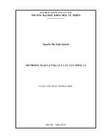 Mô phỏng ngập lụt hạ lưu lưu vực sông Cả