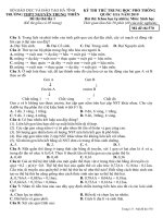 Đề thi thử THPT quốc gia môn Sinh học trường Nguyễn Trung Thiên, Hà Tĩnh lần 1 mã đề 570 - Học Toàn Tập