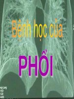 BỆNH học của PHỔI (GIẢI PHẪU BỆNH) (chữ biến dạng do slide dùng font VNI times, tải về xem bình thường) 
