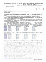 Đề thi tốt nghiệp THPT Quốc Gia môn Tiếng Anh hệ 7 năm 2006-2007 lần 1 mã đề 587 - Học Toàn Tập