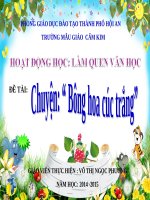 BAI GIANG p bong hoa cuc trang