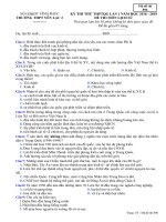Đề thi thử THPT Lịch sử 2019 Trường Yên Lạc 2, Vĩnh Phúc lần 1 mã đề 896 - Học Toàn Tập