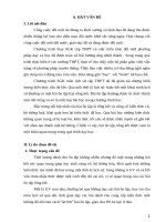 skkn sử dụng phương pháp graph vào dạy các bài ôn tập, tổng kết trong chương trình lịch sử THPT 