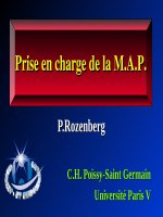 MAP ROZENBERG (sản PHỤ KHOA) 