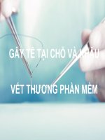 GÂY tê tại CHỖ và KHÂU vết THƯƠNG PHẦN mềm (PHẪU THUẬT THỰC HÀNH) 