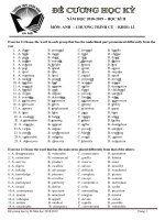 Đề cương học kì 2 lớp 12 Tiếng anh Trường THPT Xuân Đỉnh, Sở GD&DT Hà Nội niên khóa 2018-2019 - Học Toàn Tập