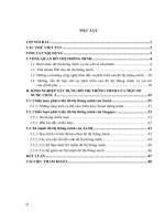 Tổng luận Đô thị thông minh