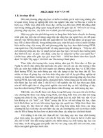 skkn vận dụng dạy học theo định hướng phát triển năng lực người học với chủ đề văn hóa việt nam từ thế kỉ x đến nửa đầu thế kỉ XIX 