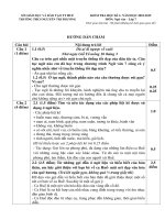 Đáp án đề thi học kì 2 môn ngữ văn lớp 7, trường THCS Nguyễn Chi Phương, Sở GD&ĐT Thừa Thiên Huế 2018-2019 - Học Toàn Tập