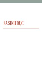 SA SINH dục (sản PHỤ KHOA) 