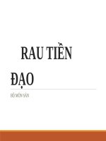 RAU TIỀN đạo (sản PHỤ KHOA) 