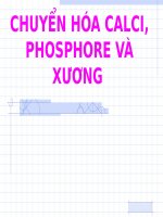 CHUYỂN hóa CALCI, PHOSPHORE và XƯƠNG (nội) 