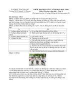 Đáp án đề thi Đề thi học kì 2 môn GDCD lớp 9, trường THCS Nguyễn Chi Phương, Sở GD&ĐT Thừa Thiên Huế 2018-2019 - Học Toàn Tập