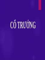 CỔ TRƯỚNG (nội) 