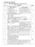 Đáp án đề thi học kì 2 môn GDCD lớp 8, trường THCS Nguyễn Chi Phương, Sở GD&ĐT Thừa Thiên Huế 2018-2019 - Học Toàn Tập