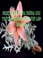 slide bài giảng ngữ văn 11 tiết 33 khái quát văn học việt nam từ đầu thế kì XX đến cách mạng tháng 8 1945 