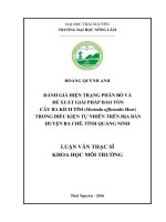 Đánh giá hiện trạng phân bố và đề xuất giải pháp bảo tồn cây ba kích tím morinda officinalis how trong điều kiện tự nhiên trên địa bàn huyện ba chẽ tỉnh quảng ninh 