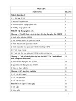 skkn thiết kế và tổ chức tổ chức dạy học   bài học STEM “mô hình trồng rau thủy canh” trong bài 4 vai trò của các nguyên tố khoáng sinh học 11 