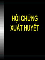 HỘI CHỨNG XUẤT HUYẾT (nội) 