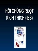 HỘI CHỨNG RUỘT KÍCH THÍCH (IBS) (nội) (chữ biến dạng do slide dùng font VNI times, tải về xem bình thường) 