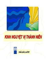 KINH NGUYỆT vị THÀNH NIÊN và TÌNH dục AN TOÀN ở vị THÀNH NIÊN (sản PHỤ KHOA) (chữ biến dạng do slide dùng font VNI times, tải về xem bình thường) 