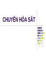 CHUYỂN hóa sắt (nội) 