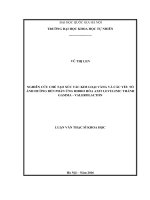 Nghiên cứu chế tạo xúc tác kim loại vàng và các yếu tố ảnh hưởng đến phản ứng hidro hóa axit levulinic thành gammavalerolacton