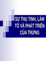 SINH lý THỤ TINH (sản PHỤ KHOA) 