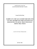 Nghiên cứu chế tạo cảm biến điện hóa nền vật liệu Graphen kết hợp Nano kim loại định hướng ứng dụng phân tích Sudan trong thực phẩm