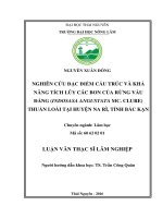 Nghiên cứu đặc điểm cấu trúc và khả năng tích lũy các bon của rừng vầu đắng indosasa angustata mc clure thuần loài tại huyện na rì tỉnh bắc kạn